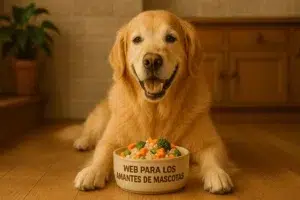 Perro mayor raza golden retriever feliz comiendo comida orgánica casera con vegetales y pollo en una cocina cálida, imagen ideal para blog sobre beneficios de la comida orgánica para perros mayores.